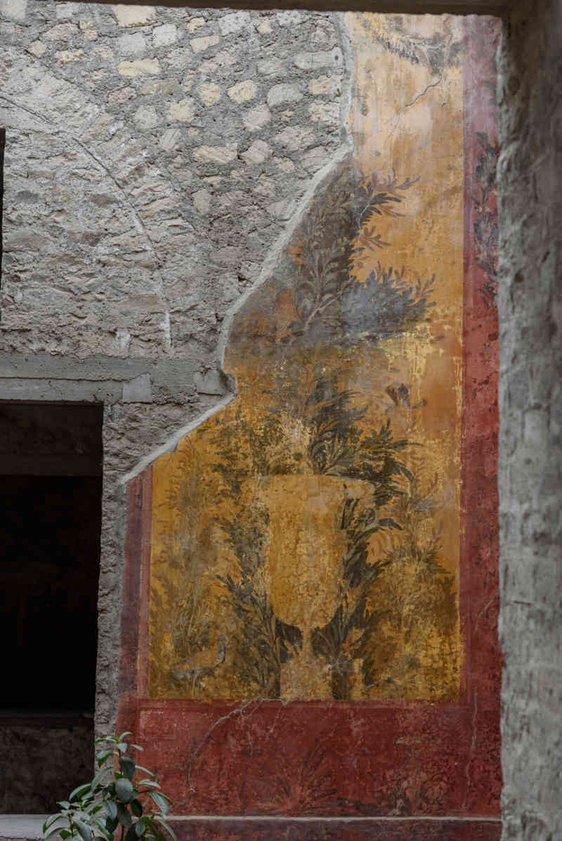 319 - Italia - Torre Annunziata - Villa Oplontis o Villa Poppea - Salón 3.jpg